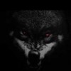 【2017年1月】Black Sheep x Nike SB Dunk High“Wolf In Sheep’s Clothing”【ﾌﾞﾗｯｸｼｰﾌﾟ x ﾅｲｷﾀﾞﾝｸSB】