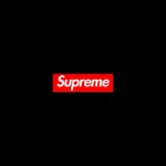 【ﾘｰｸ】Supreme 2017 SS sample 【ｼｭﾌﾟﾘｰﾑ ｾｰﾙ情報あり】